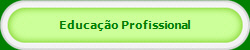 Educao Profissional